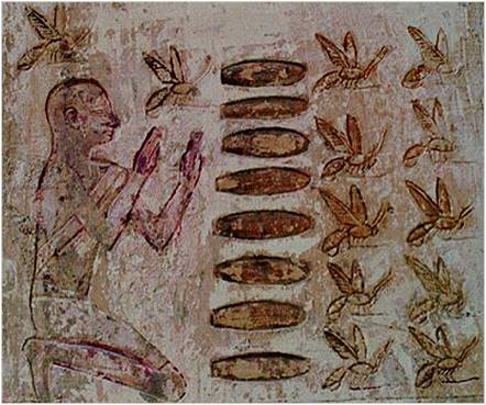 Darstellung der Honigernte aus Röhrenstöcken. Grab des Pabasa in Theben