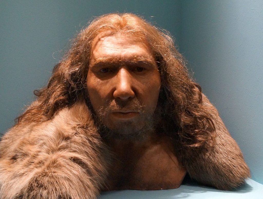 Neandertaler LVR Landesmuseum Bonn Rekonstruktion